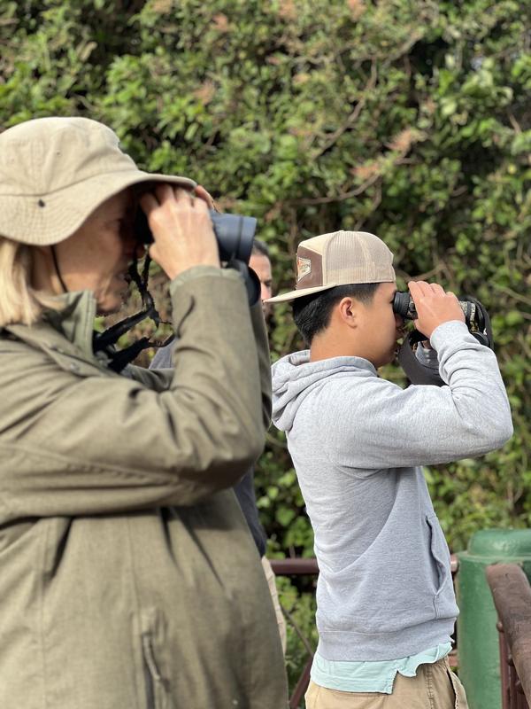 Wildlife Encounter