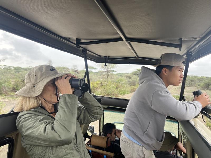 Safari Moments