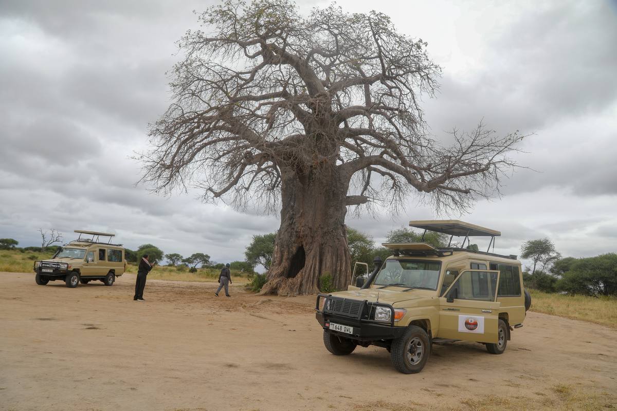 6-Day Exclusive Wildlife & Cultural Safari (Mid Range) - 6 Days / 5 Nights