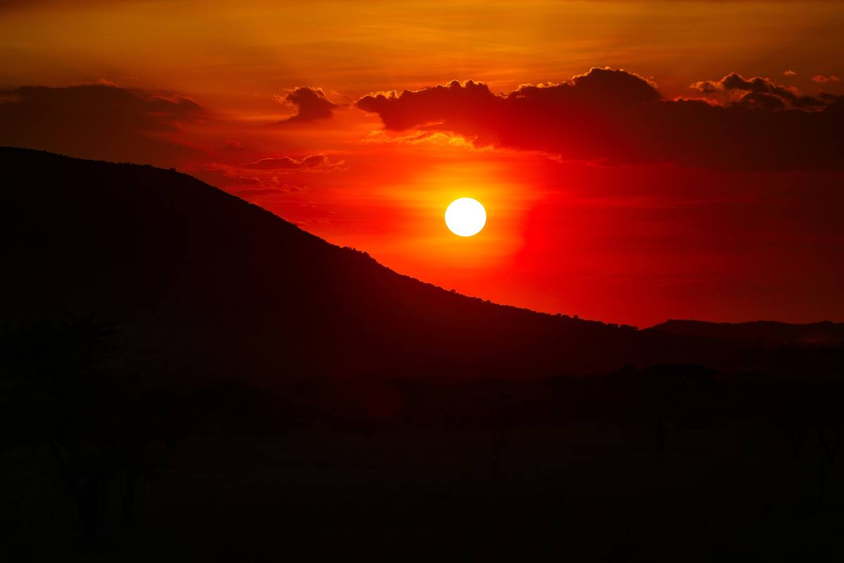 6-Day Immersive Cultural Safari Experience - 6 Days / 5 Nights