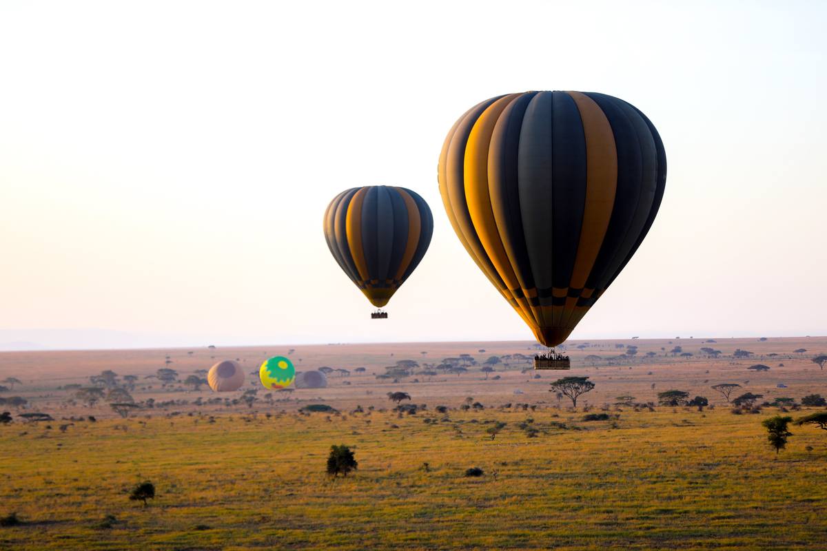8-Day Safari Adventure & Zanzibar Beach Getaway - 8 Days / 7 Nights
